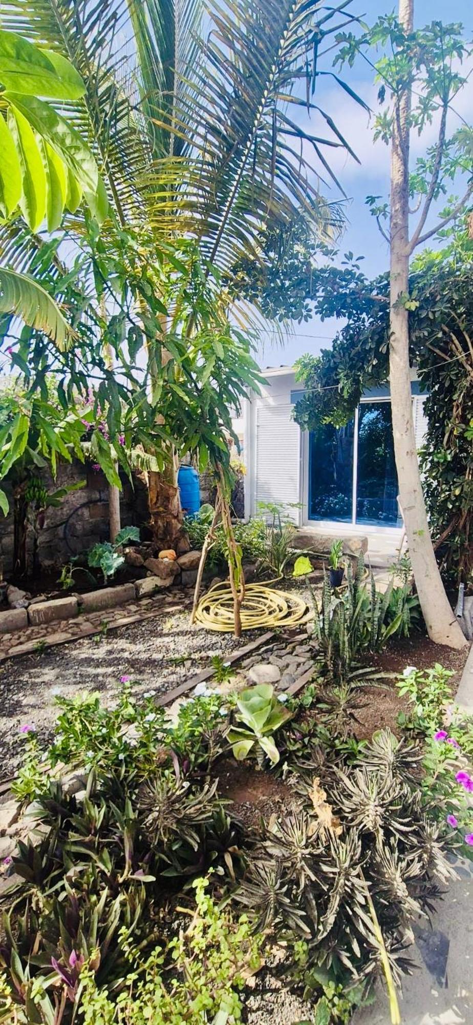 Ferienwohnung Casa Chiquinha Ribeira da Prata Exterior foto