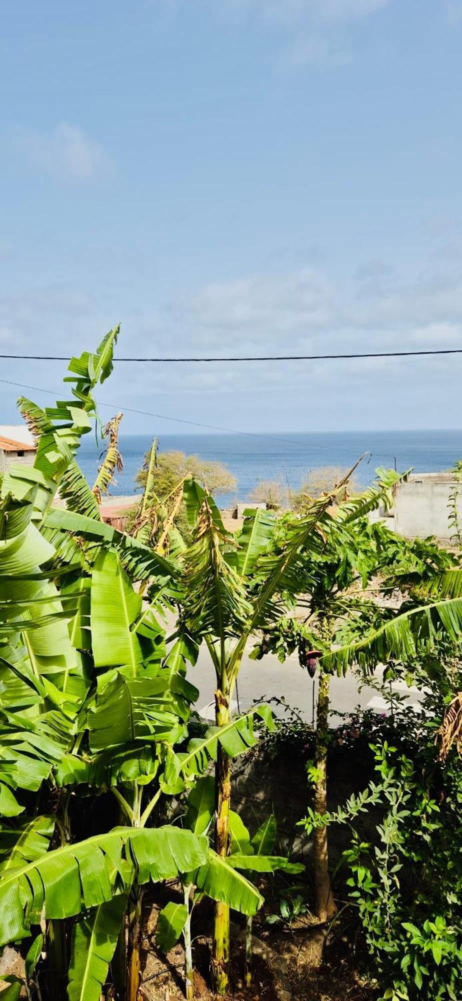Ferienwohnung Casa Chiquinha Ribeira da Prata Exterior foto