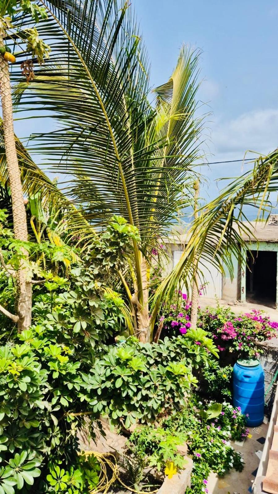 Ferienwohnung Casa Chiquinha Ribeira da Prata Exterior foto